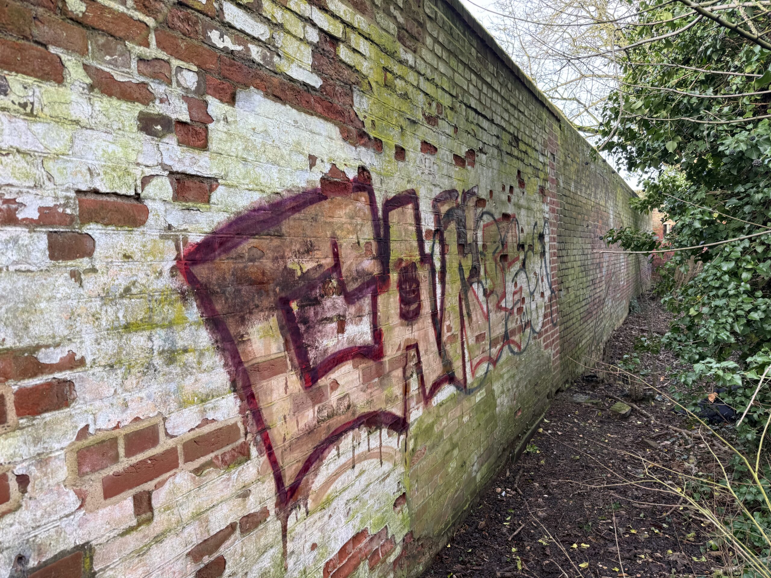 Photo 20-02-2026, 09 19 53