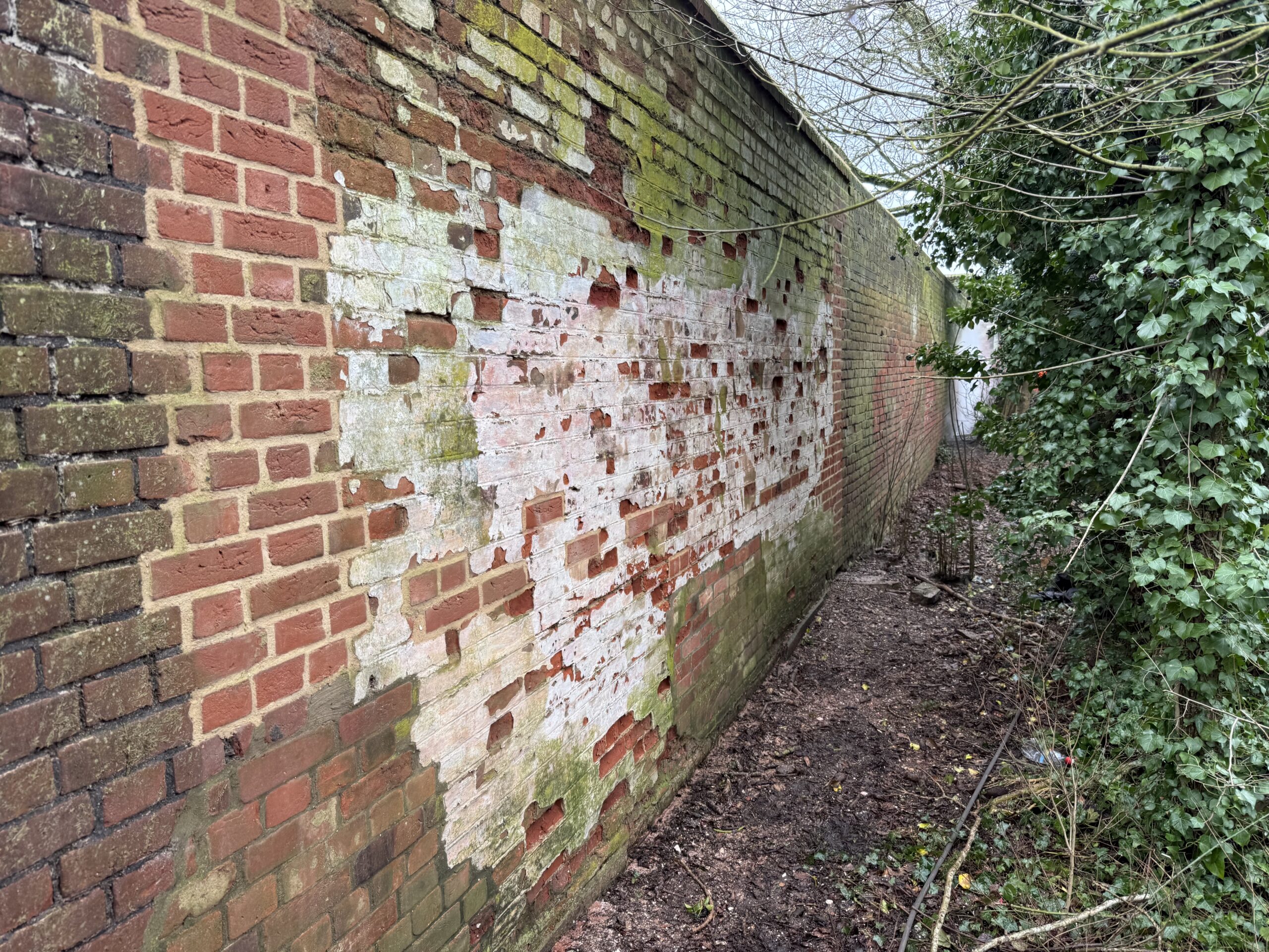 Photo 20-02-2026, 10 33 18