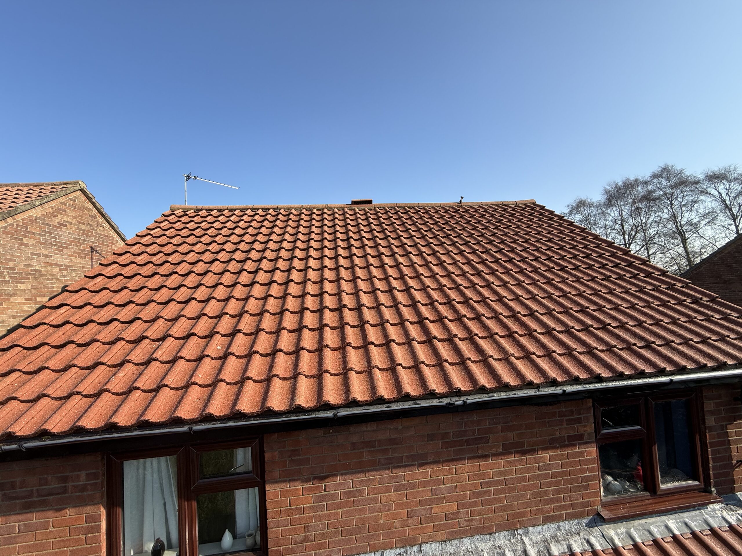 Roof tiles affected by moss and moisture