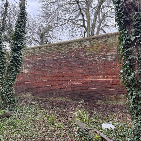 Photo 20-02-2026, 10 33 50