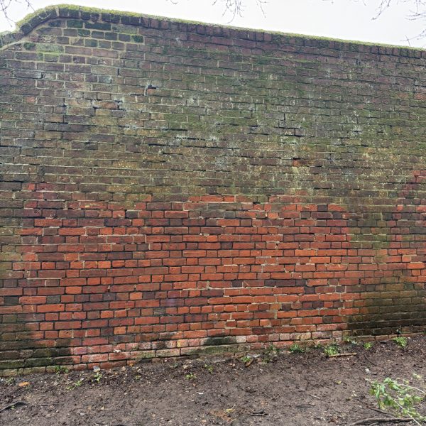 Photo 20-02-2026, 13 38 59